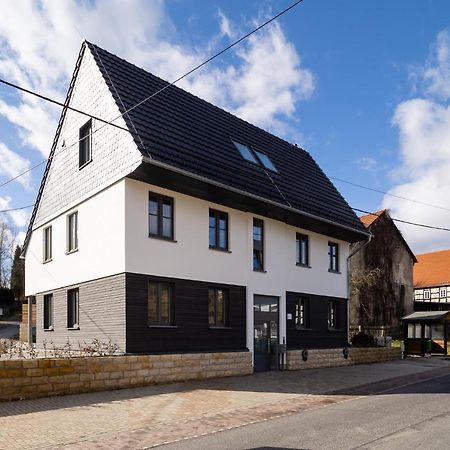 Neues Ferienhaus Gohrisch Extérieur photo