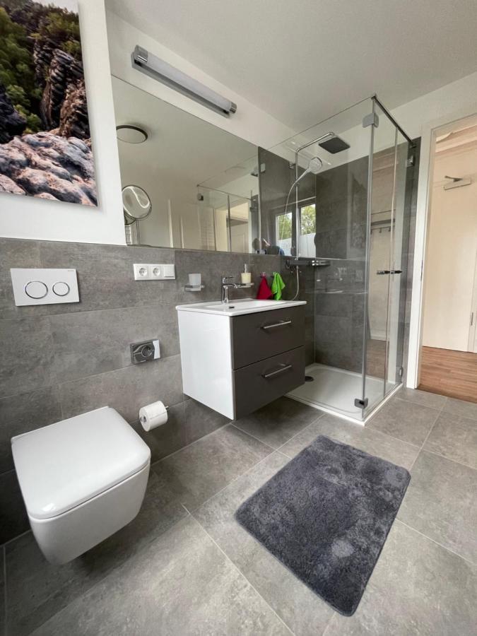 Neues Ferienhaus Gohrisch Extérieur photo
