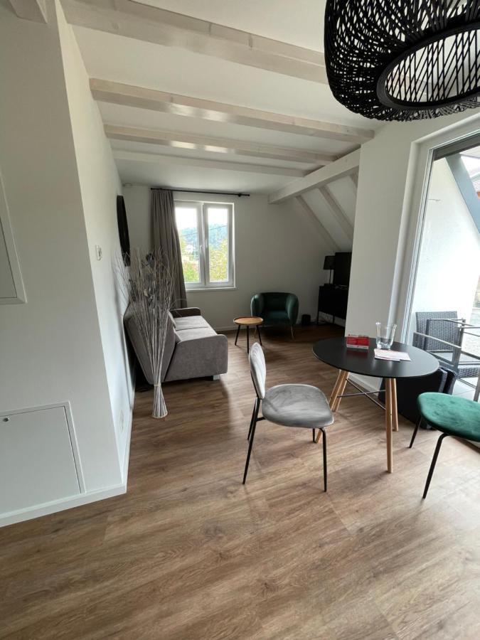Neues Ferienhaus Gohrisch Extérieur photo